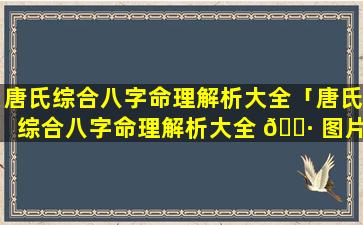 唐氏综合八字命理解析大全「唐氏综合八字命理解析大全 🌷 图片」